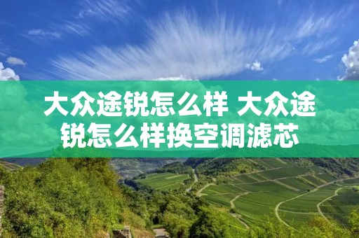 大众途锐怎么样 大众途锐怎么样换空调滤芯