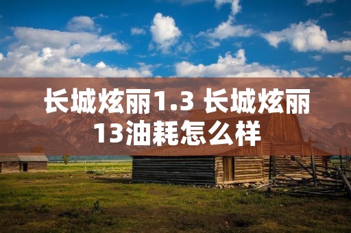 长城炫丽1.3 长城炫丽13油耗怎么样 长城炫丽1.3 长城炫丽13油耗怎么样