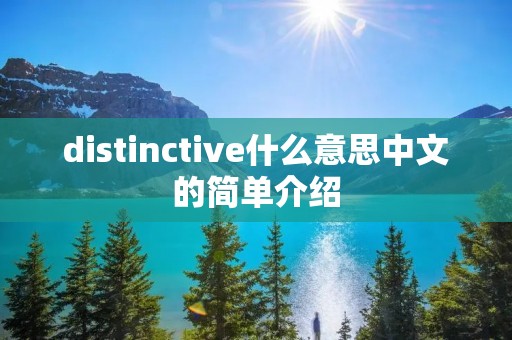 distinctive什么意思中文的简单介绍
