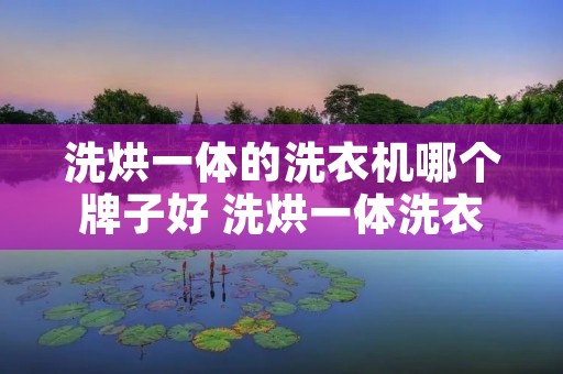 洗烘一体的洗衣机哪个牌子好 洗烘一体洗衣机哪个牌子好知乎 洗烘一体的洗衣机哪个牌子好 洗烘一体洗衣机哪个牌子好知乎