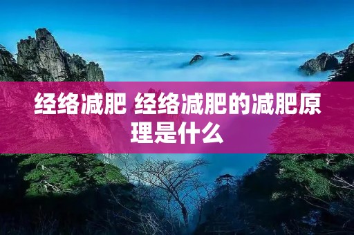 经络减肥 经络减肥的减肥原理是什么 经络减肥 经络减肥的减肥原理是什么