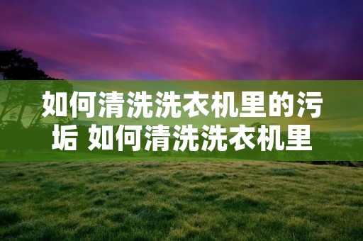 如何清洗洗衣机里的污垢 如何清洗洗衣机里的污垢剂 如何清洗洗衣机里的污垢 如何清洗洗衣机里的污垢剂