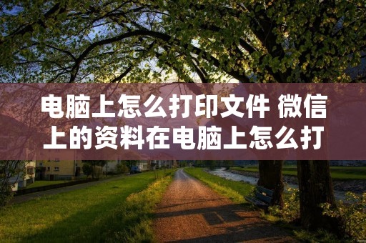 电脑上怎么打印文件 微信上的资料在电脑上怎么打印文件 电脑上怎么打印文件 微信上的资料在电脑上怎么打印文件