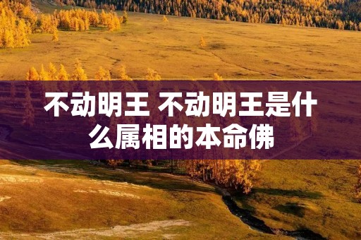 不动明王 不动明王是什么属相的本命佛