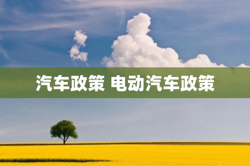 汽车政策 电动汽车政策 汽车政策 电动汽车政策