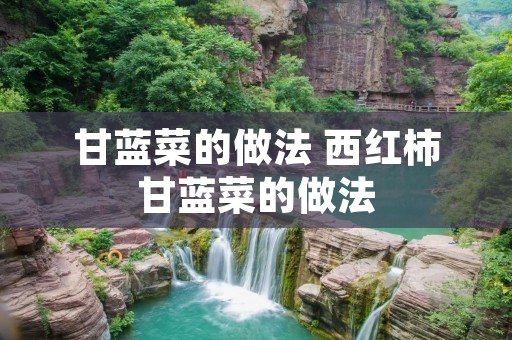 甘蓝菜的做法 西红柿甘蓝菜的做法