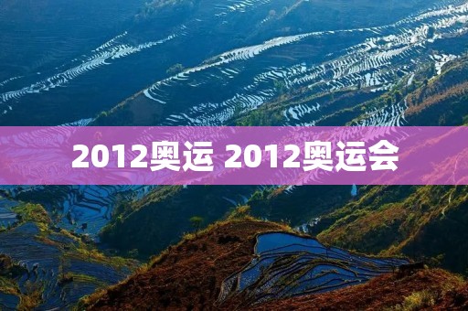 2012奥运 2012奥运会