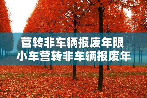 营转非车辆报废年限 小车营转非车辆报废年限