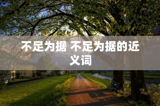 不足为据 不足为据的近义词