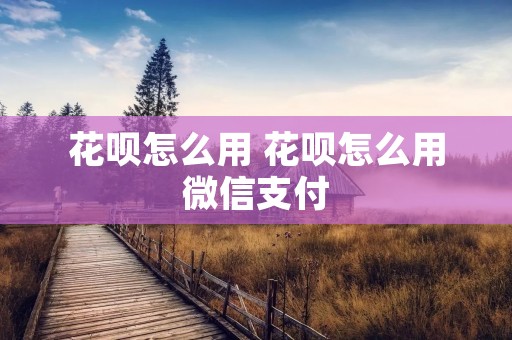 花呗怎么用 花呗怎么用微信支付