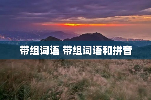 带组词语 带组词语和拼音