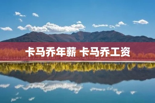 卡马乔年薪 卡马乔工资 卡马乔年薪 卡马乔工资