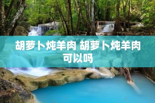 胡萝卜炖羊肉 胡萝卜炖羊肉可以吗