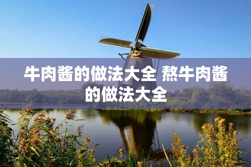 牛肉酱的做法大全 熬牛肉酱的做法大全 牛肉酱的做法大全 熬牛肉酱的做法大全