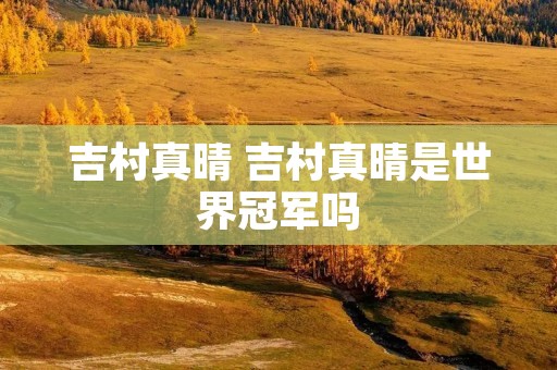 吉村真晴 吉村真晴是世界冠军吗