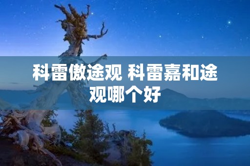 科雷傲途观 科雷嘉和途观哪个好 科雷傲途观 科雷嘉和途观哪个好