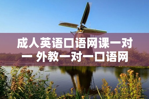 成人英语口语网课一对一 外教一对一口语网课哪家好