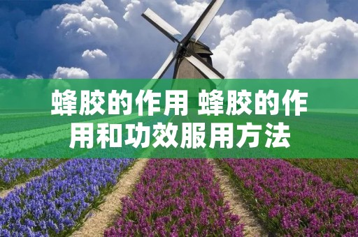 蜂胶的作用 蜂胶的作用和功效服用方法