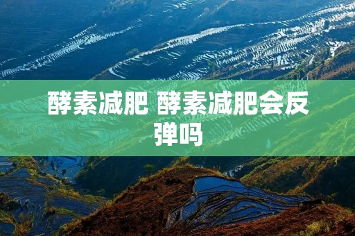 酵素减肥 酵素减肥会反弹吗