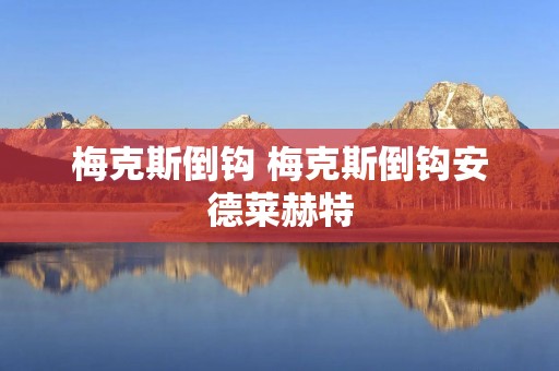 梅克斯倒钩 梅克斯倒钩安德莱赫特