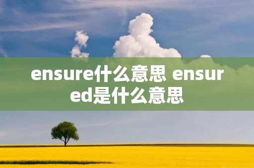 ensure什么意思 ensured是什么意思