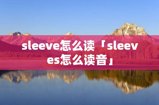 sleeve怎么读「sleeves怎么读音」