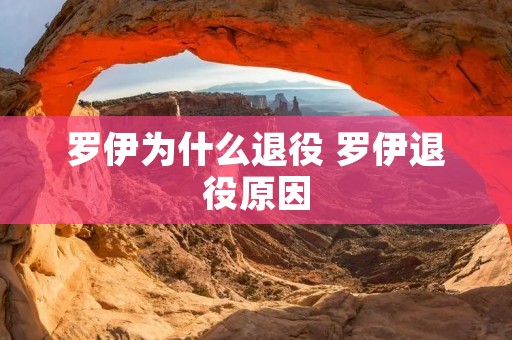 罗伊为什么退役 罗伊退役原因 罗伊为什么退役 罗伊退役原因