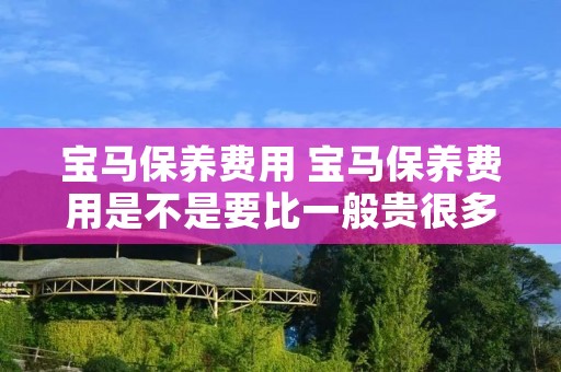 宝马保养费用 宝马保养费用是不是要比一般贵很多