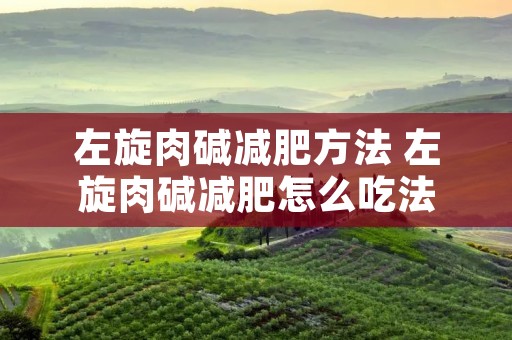 左旋肉碱减肥方法 左旋肉碱减肥怎么吃法
