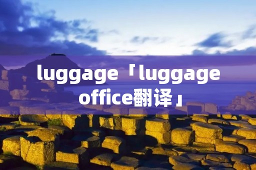 luggage「luggage office翻译」