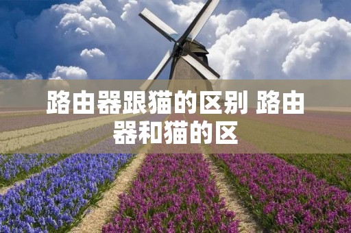 路由器跟猫的区别 路由器和猫的区