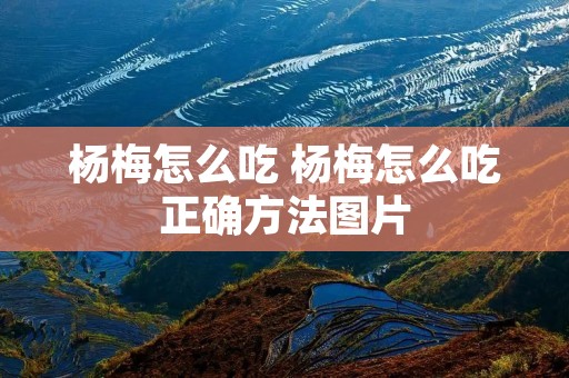 杨梅怎么吃 杨梅怎么吃正确方法图片 杨梅怎么吃 杨梅怎么吃正确方法图片