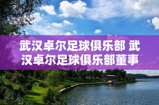 武汉卓尔足球俱乐部 武汉卓尔足球俱乐部董事长田旭东