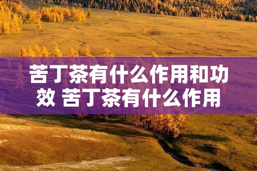 苦丁茶有什么作用和功效 苦丁茶有什么作用和功效与禁忌