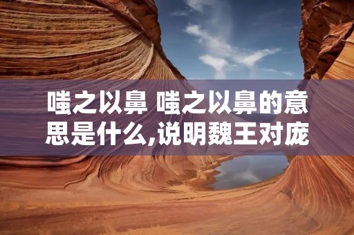 嗤之以鼻 嗤之以鼻的意思是什么,说明魏王对庞涓的办法