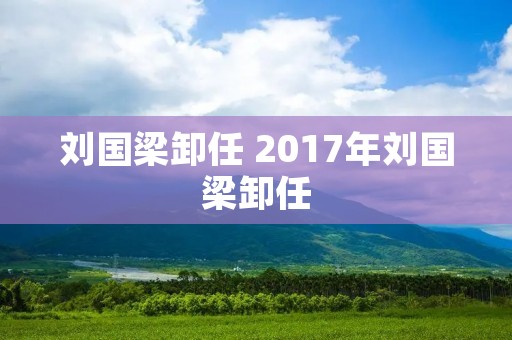 刘国梁卸任 2017年刘国梁卸任 刘国梁卸任 2017年刘国梁卸任