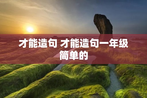 才能造句 才能造句一年级简单的