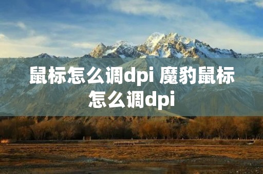 鼠标怎么调dpi 魔豹鼠标怎么调dpi 鼠标怎么调dpi 魔豹鼠标怎么调dpi