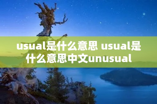 usual是什么意思 usual是什么意思中文unusual