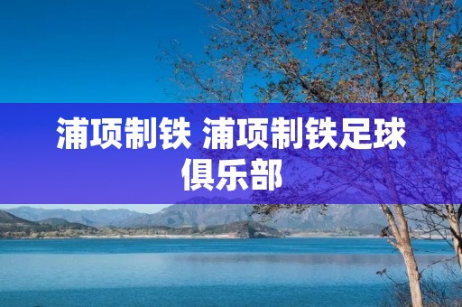 浦项制铁 浦项制铁足球俱乐部 浦项制铁 浦项制铁足球俱乐部