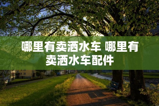 哪里有卖洒水车 哪里有卖洒水车配件 哪里有卖洒水车 哪里有卖洒水车配件