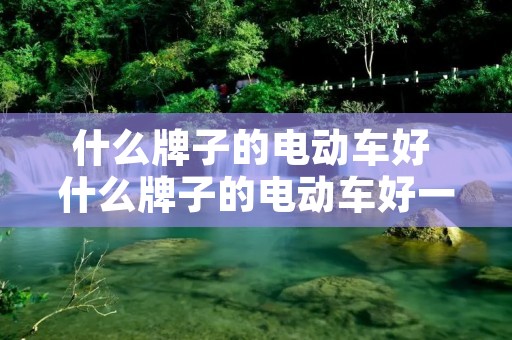 什么牌子的电动车好 什么牌子的电动车好一点