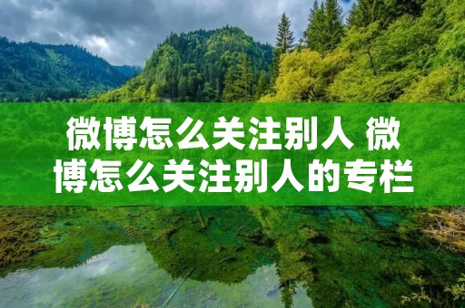 微博怎么关注别人 微博怎么关注别人的专栏