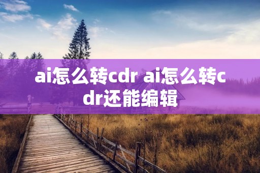 ai怎么转cdr ai怎么转cdr还能编辑