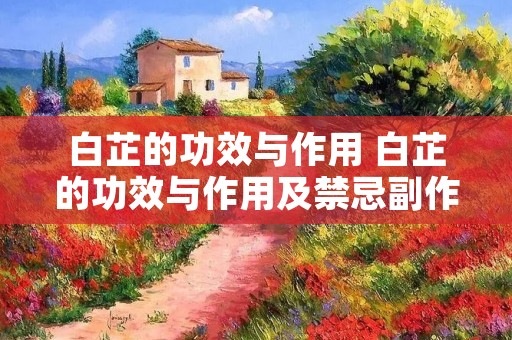 白芷的功效与作用 白芷的功效与作用及禁忌副作用 白芷的功效与作用 白芷的功效与作用及禁忌副作用