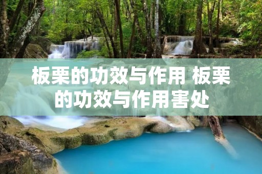 板栗的功效与作用 板栗的功效与作用害处 板栗的功效与作用 板栗的功效与作用害处