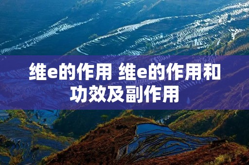 维e的作用 维e的作用和功效及副作用