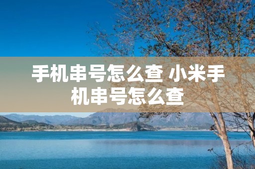 手机串号怎么查 小米手机串号怎么查