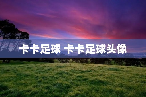 卡卡足球 卡卡足球头像 卡卡足球 卡卡足球头像