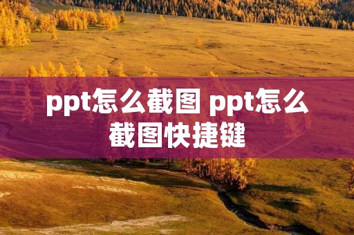ppt怎么截图 ppt怎么截图快捷键 ppt怎么截图 ppt怎么截图快捷键
